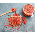 Ningxia spécial grade pairgranular organique séché goji berry